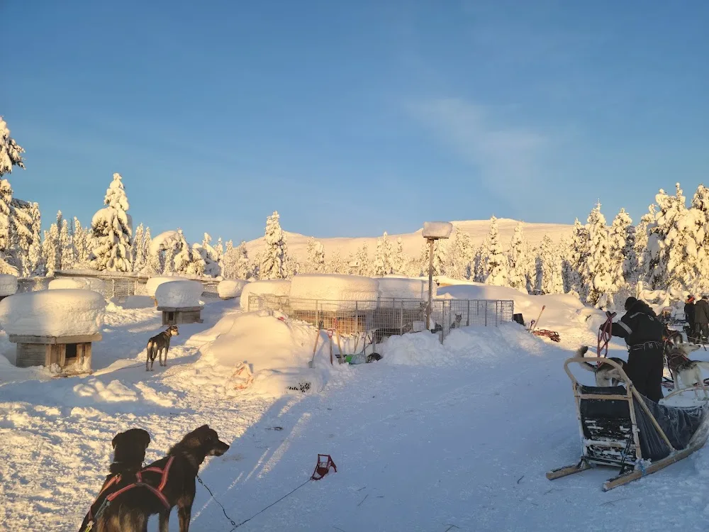 Mountain King's Sledehundkennel - Norway pet otel görseli 3