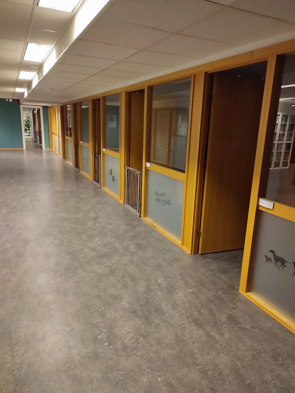 Norsk Kennel Klub - Norway pet otel görseli 2
