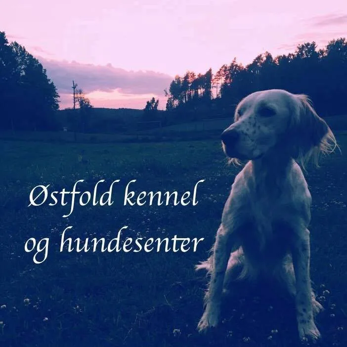 Østfold kennel og Hundesenter AS - Norway pet otel görseli 2