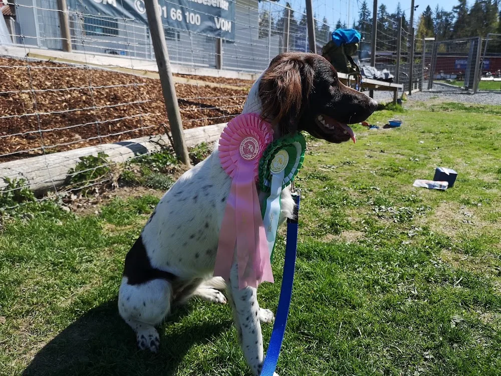 Østfold kennel og Hundesenter AS - Norway pet otel görseli 3