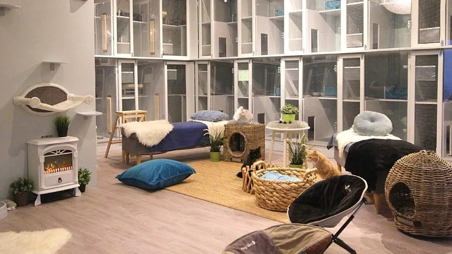 Pusehuset Cat Hotel - Norway pet otel görseli 2
