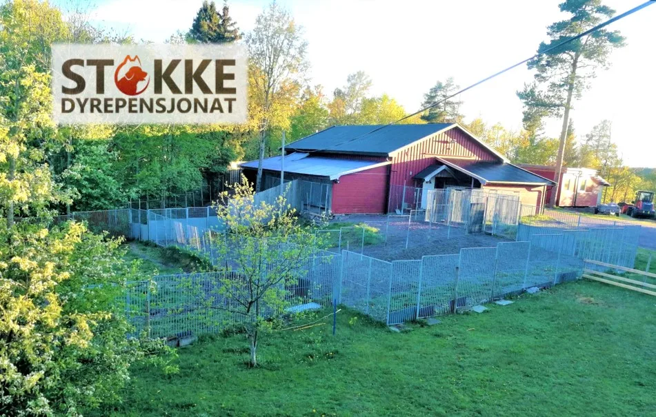 Stokke Dyrepensjonat - Norway pet otel görseli 2