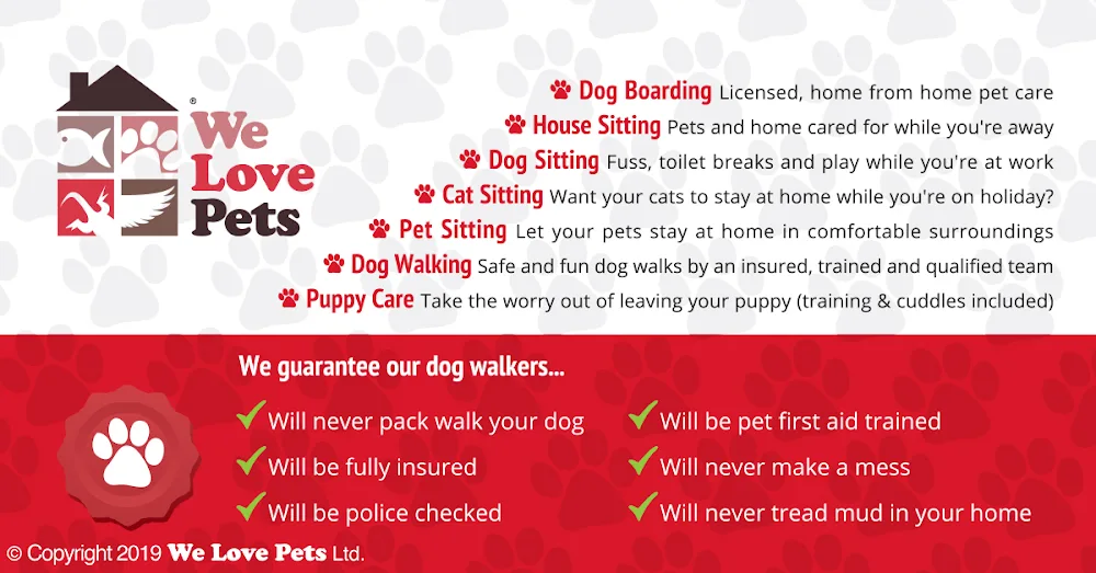 We Love Pets Norwich - Licenced Home Boarding, Pet & House Sitters, Dog Walkers, Pet Visiting Services - Norwich pet otel
