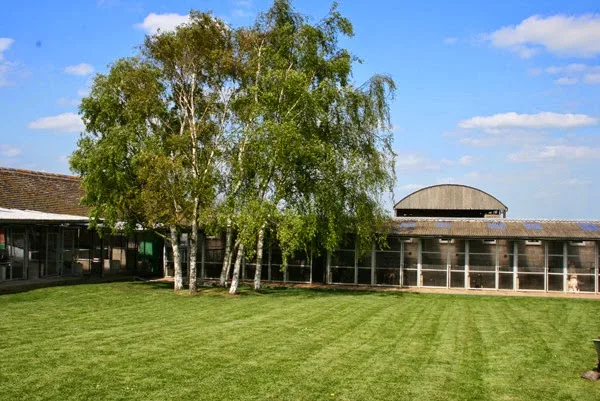 Belvoir Boarding Kennels, Colston Bassett - Nottinghamshire pet otel