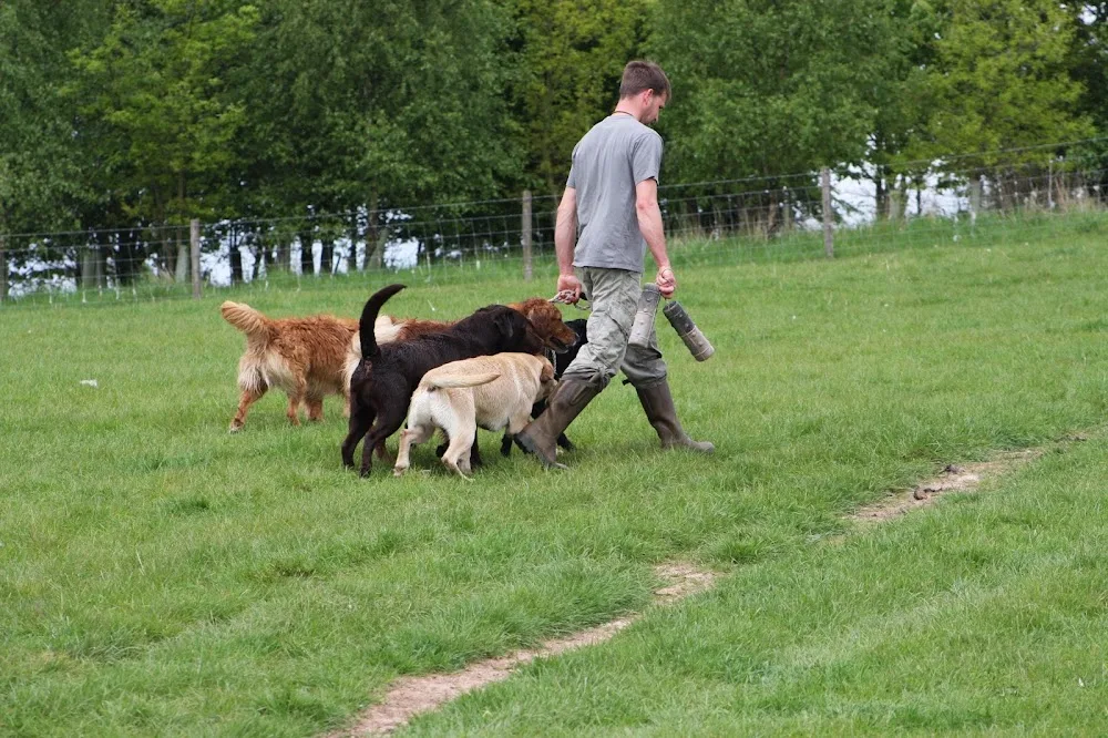Fallowfen Training Kennels - Nottinghamshire pet otel görseli 2