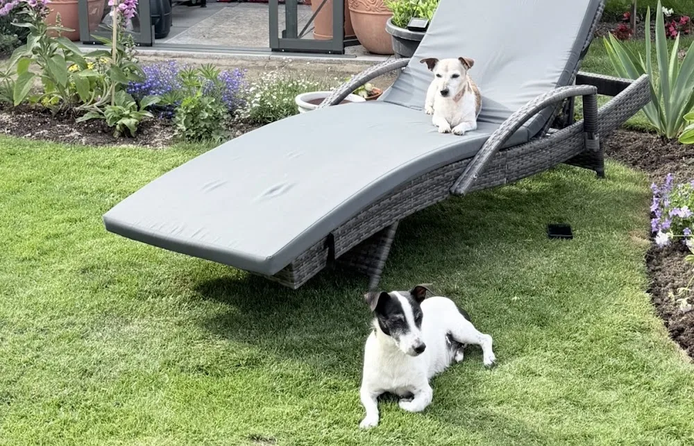 Heavenlys Animal Hotel - Nottinghamshire pet otel görseli 2