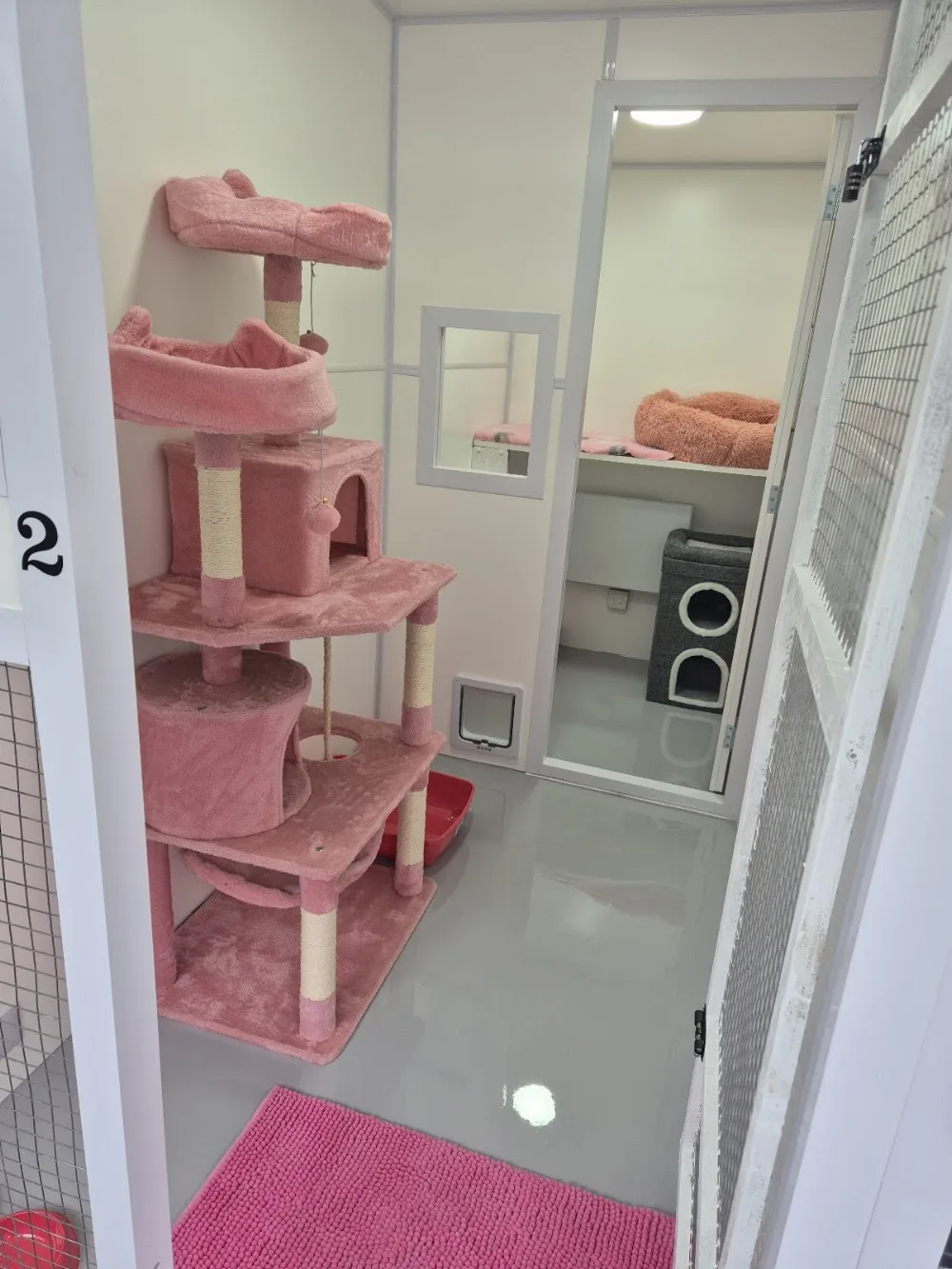 Quarrydale Lodge Cattery - Nottinghamshire pet otel görseli 2