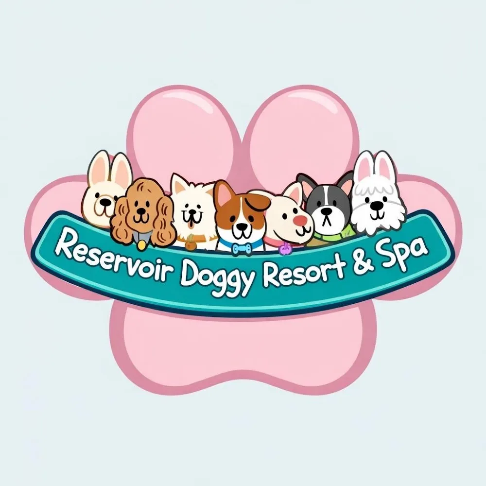 Reservoir Doggy Resort & Spa - Nottinghamshire pet otel görseli 2