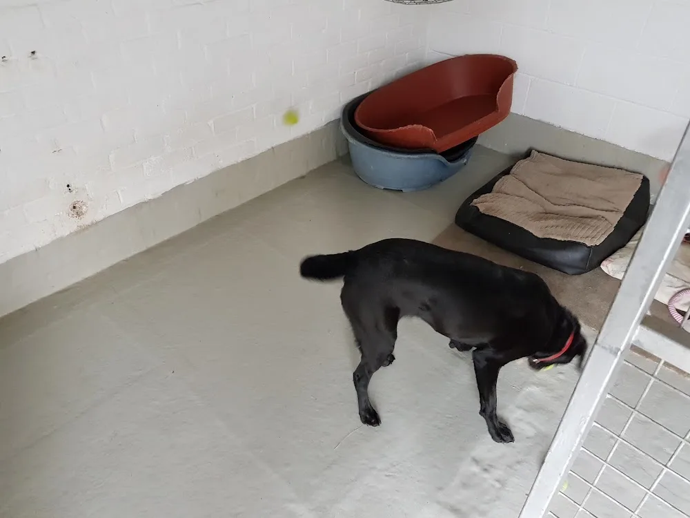 Slaney Kennels & Cattery Ltd - Nottinghamshire pet otel
