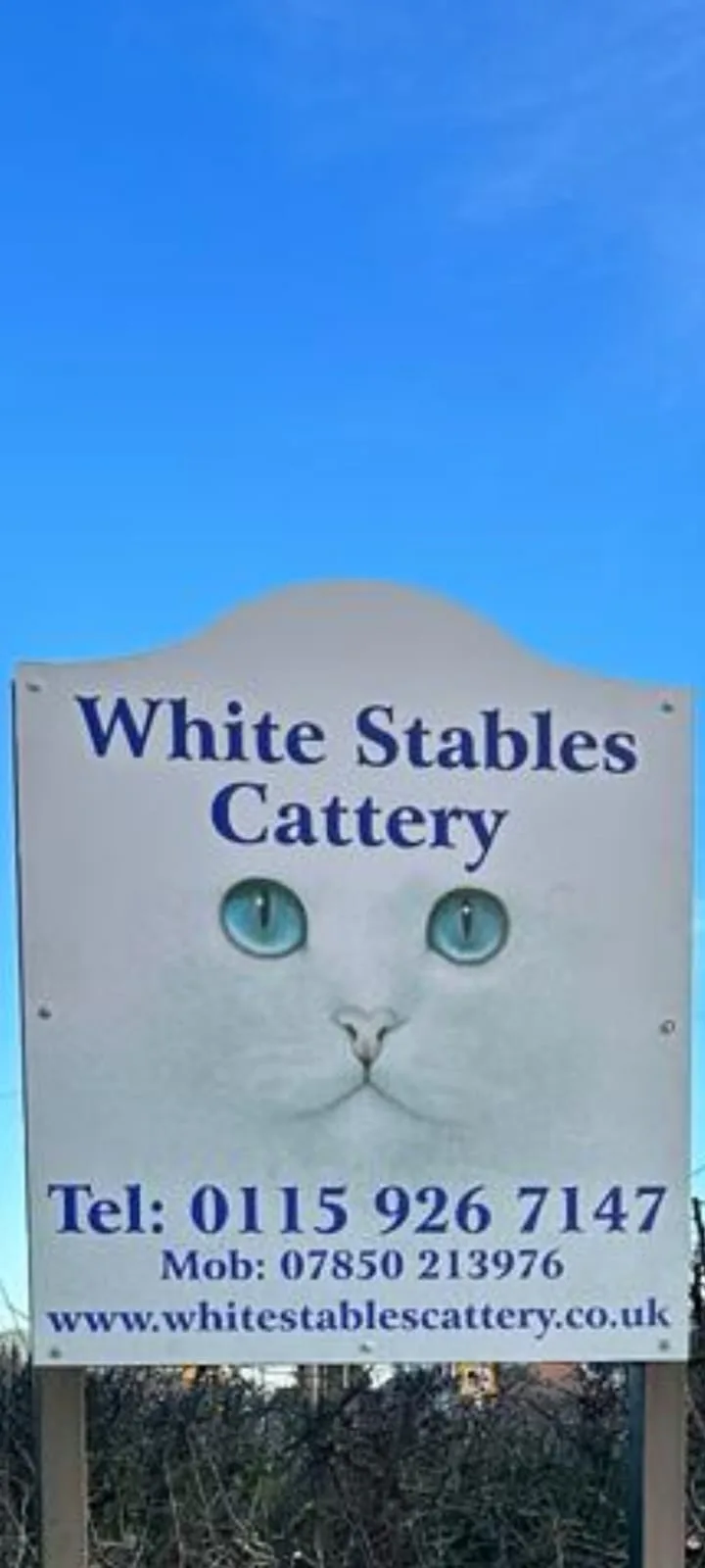 White Stables Cattery - Nottinghamshire pet otel
