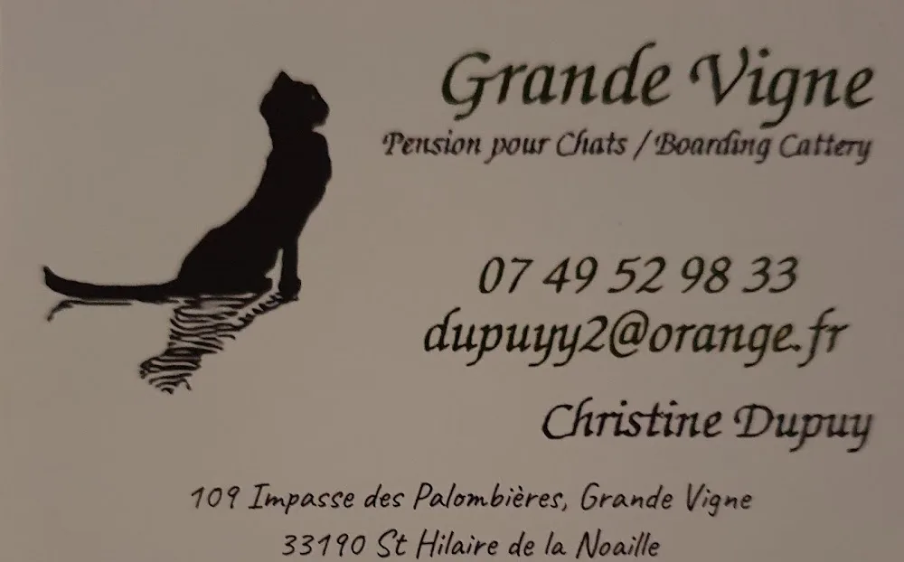 Grand Vigne Pension pour Chats - Nouvelle-Aquitaine pet otel