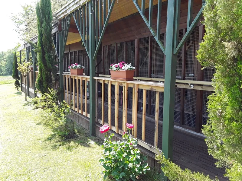 The Cats Inn Cattery - Nouvelle-Aquitaine pet otel görseli 2