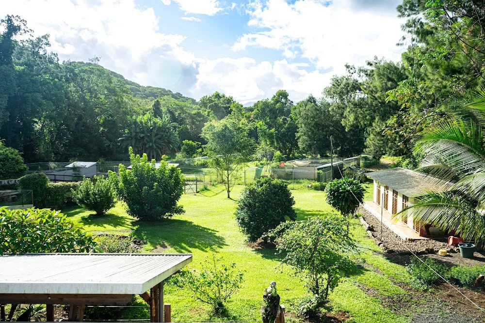 Au soleil du Carrigou - Nouvelle-Calédonie pet otel