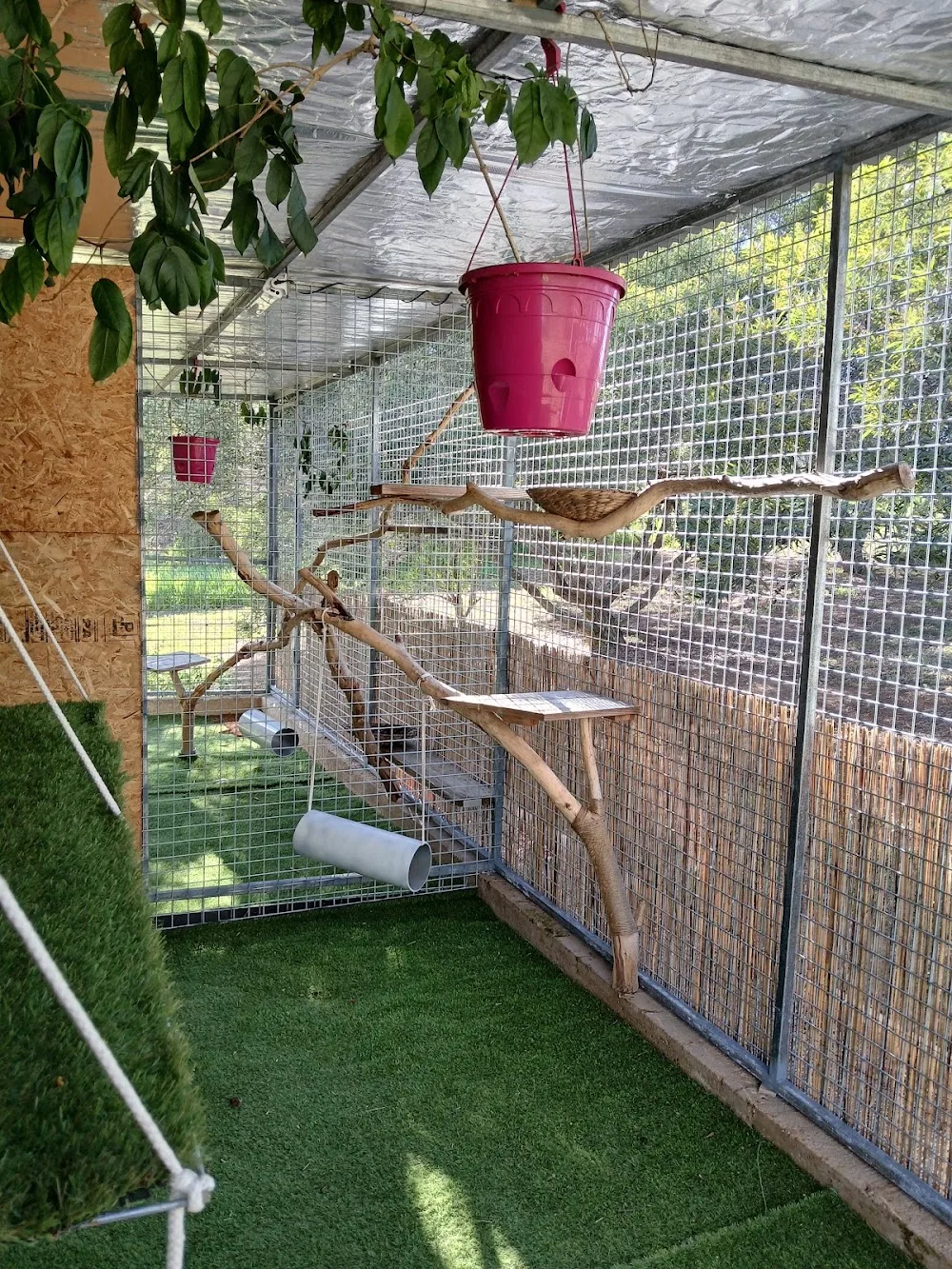 Gîte Animalier Du Caillou - Nouvelle-Calédonie pet otel görseli 3