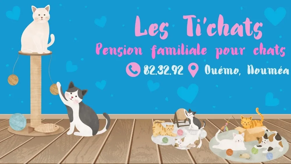 Les Ti' chats - Nouvelle-Calédonie pet otel