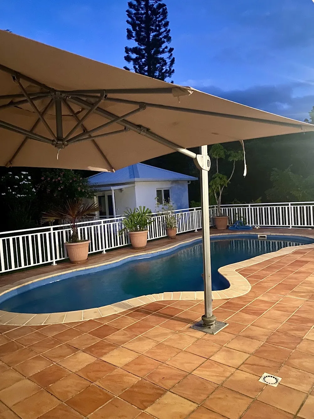 Pension dog’s house family NC - Nouvelle-Calédonie pet otel görseli 3