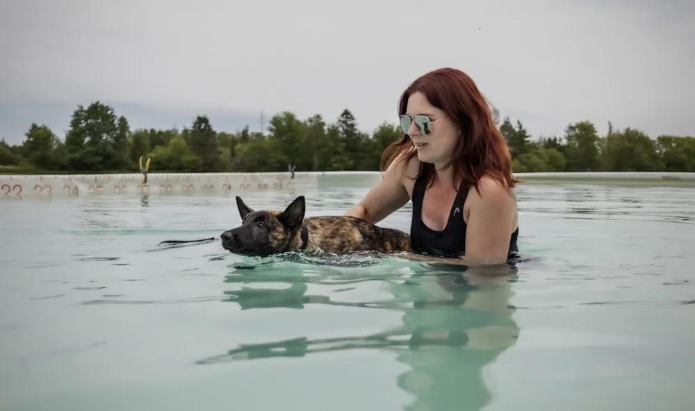 Aqua Terra Kennels - Nova Scotia pet otel