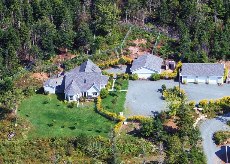 Belle Kennel - Nova Scotia pet otel görseli 2