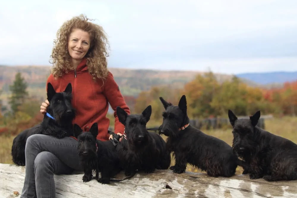 Black Rock Stables - Kennels & Cattery - Nova Scotia pet otel görseli 4