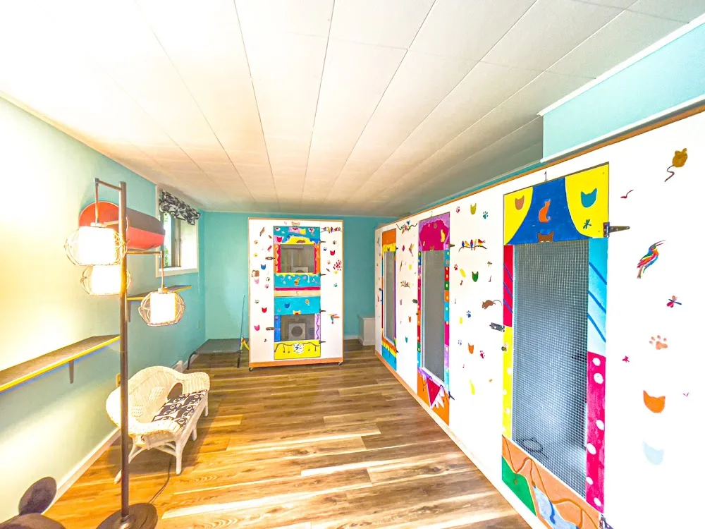 Halifax Kitty Hotel - Nova Scotia pet otel görseli 6
