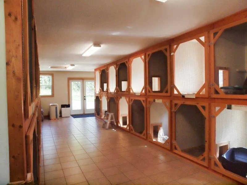 Hemlock Kitty Kennel - Nova Scotia pet otel görseli 6
