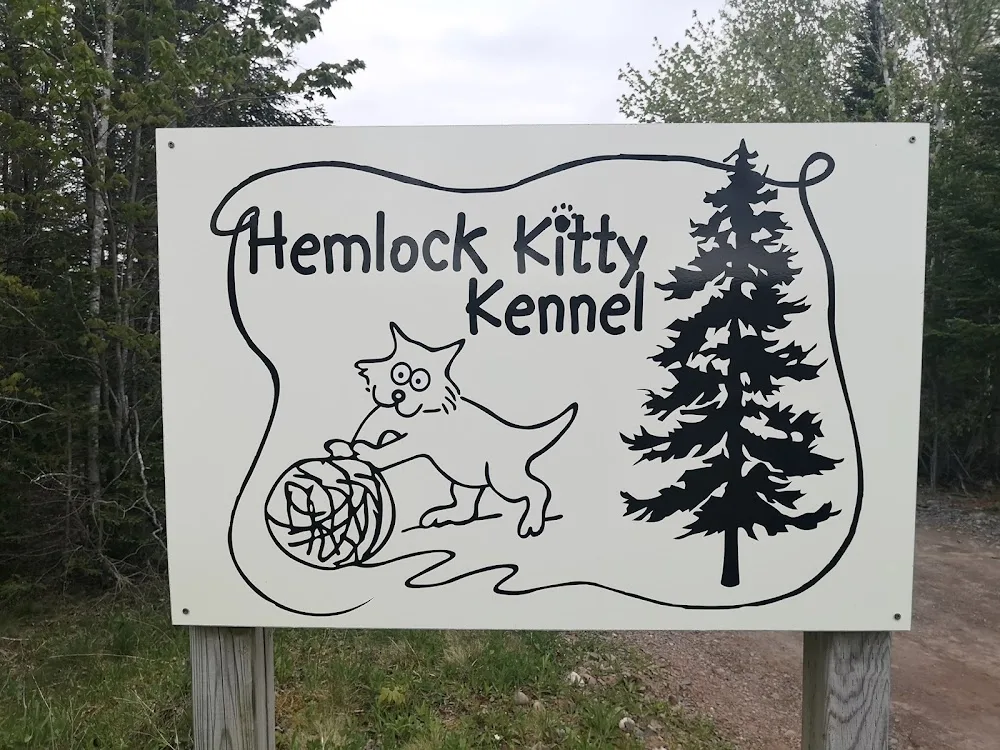 Hemlock Kitty Kennel - Nova Scotia pet otel görseli 7