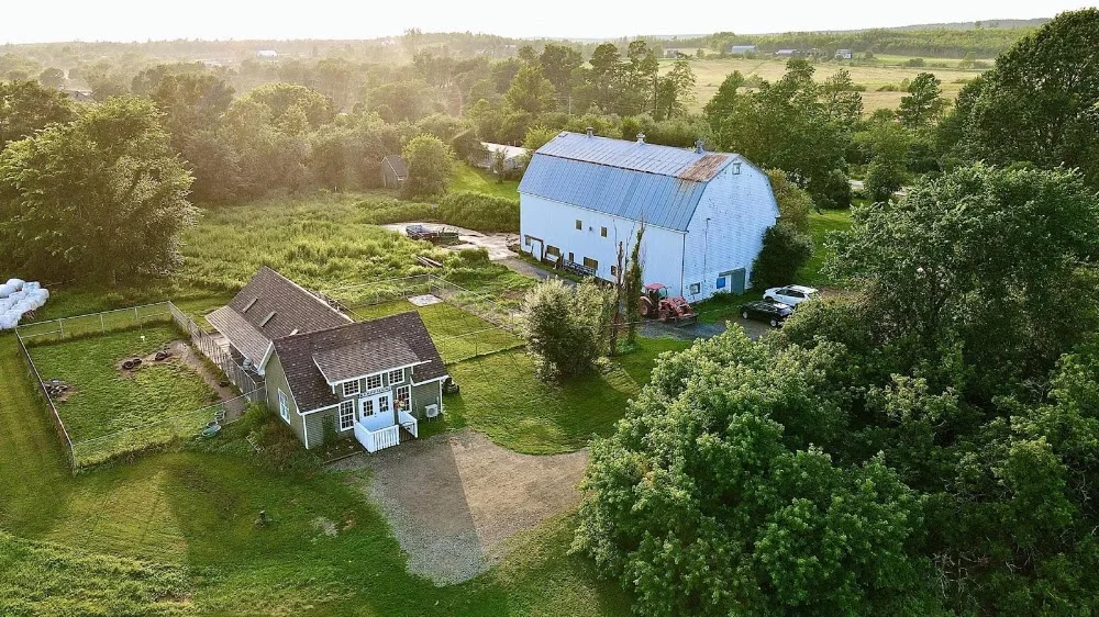 Kamp Canine - Dog Lodging - Nova Scotia pet otel