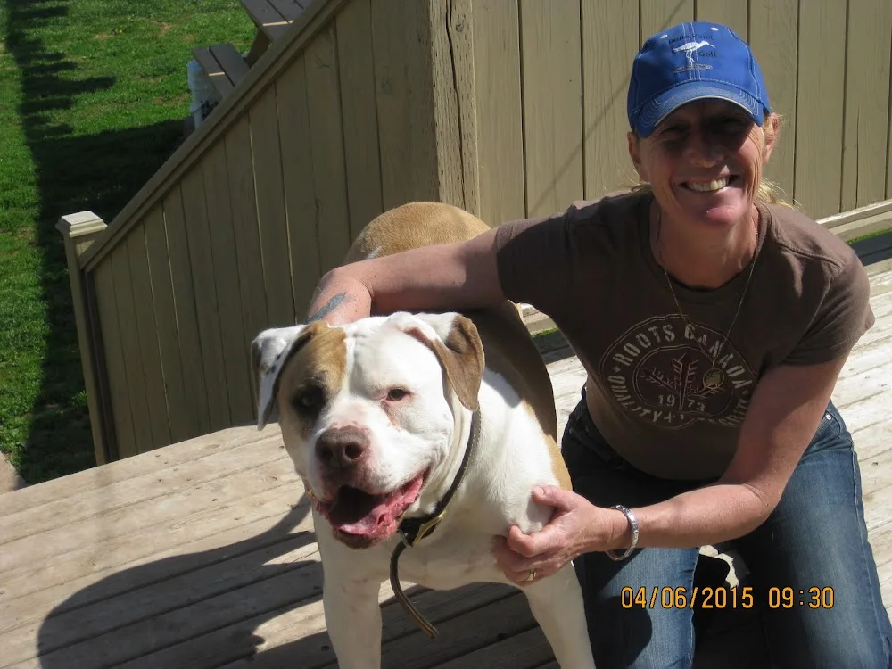 Kat's Lake Rd Kennels - Nova Scotia pet otel görseli 3