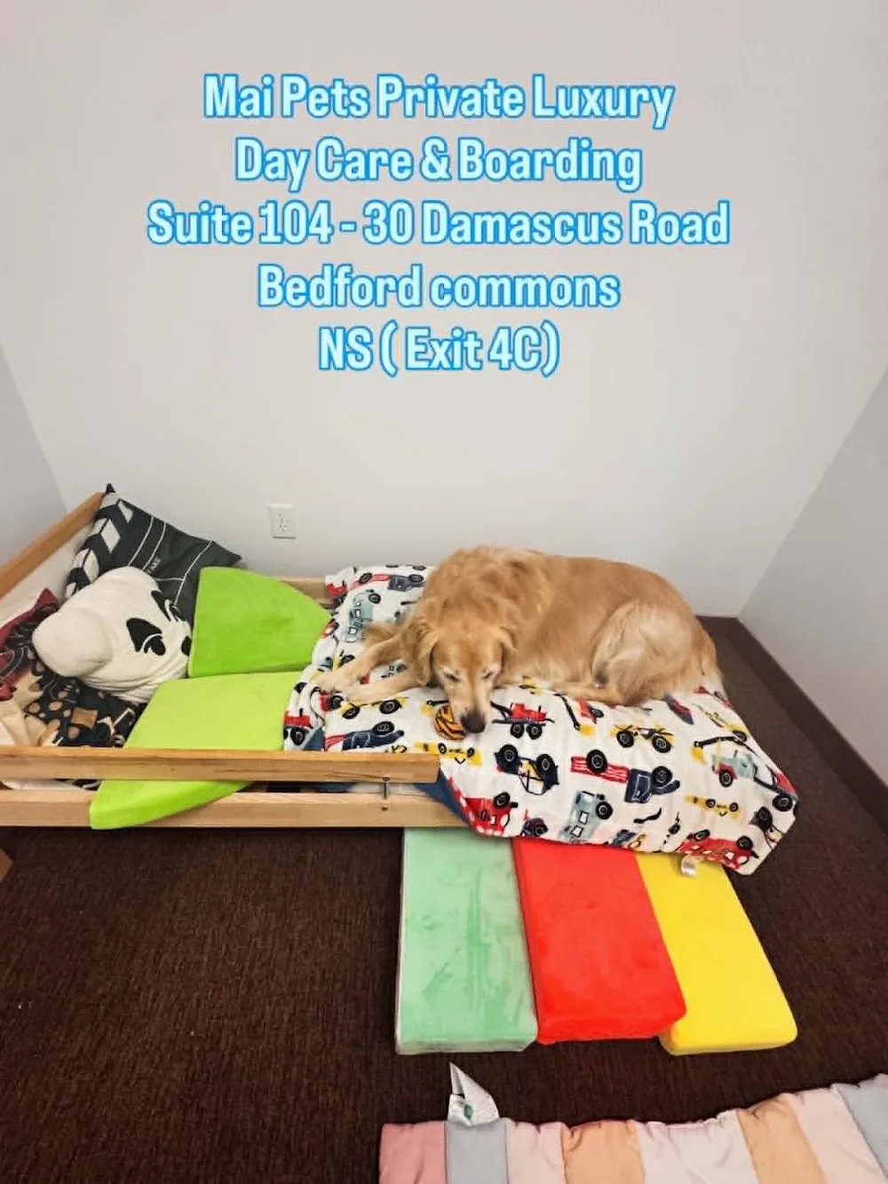 Mai Pets Bedford - Private Luxury Boarding & Daycare - Nova Scotia pet otel görseli 3