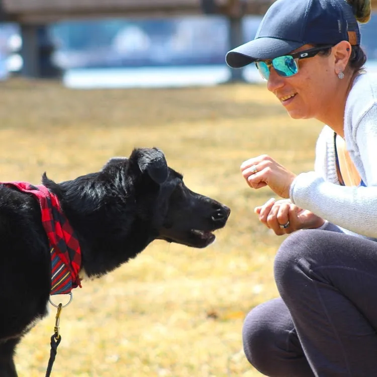 Stay N Play Canine Centre Limited - Nova Scotia pet otel görseli 4