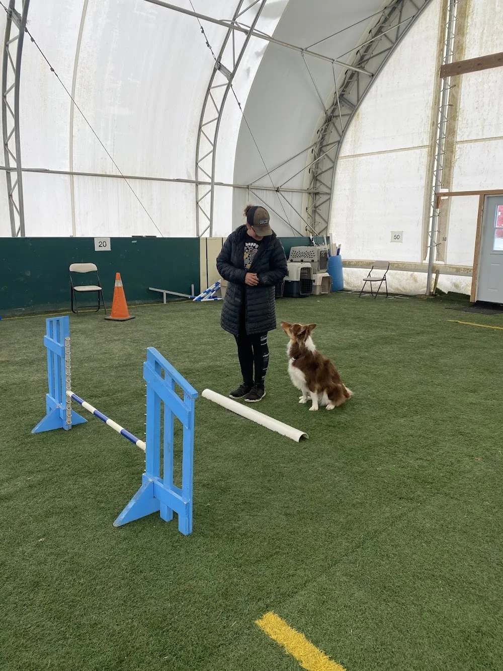 Woof Pack K9 Lifestyle Centre Inc - Nova Scotia pet otel görseli 3
