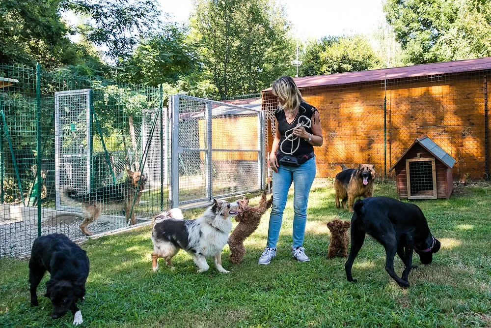 Pensione per cani e gatti La Coda Blu - Novara pet otel
