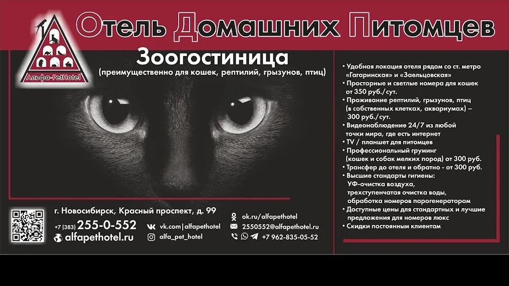 Альфа-PetHotel - Novosibirsk pet otel