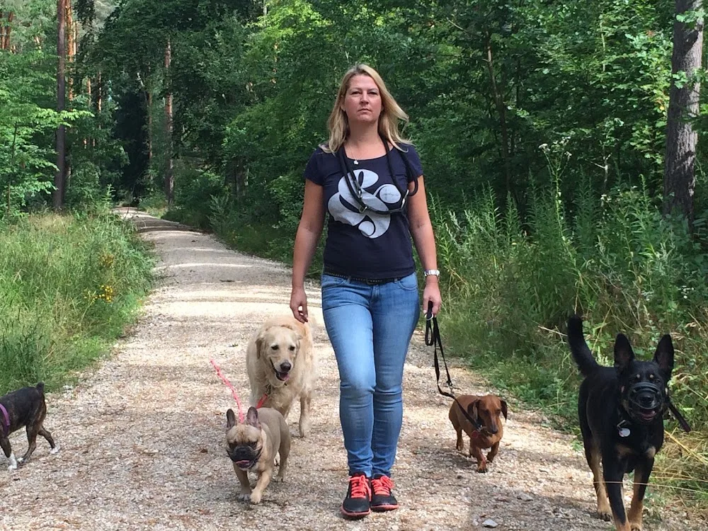 Dogsfidel - Dogwalking - Hundebetreuung - Gassidienst - Gassi- Dogwalk - Nürnberg - Nürnberg pet otel