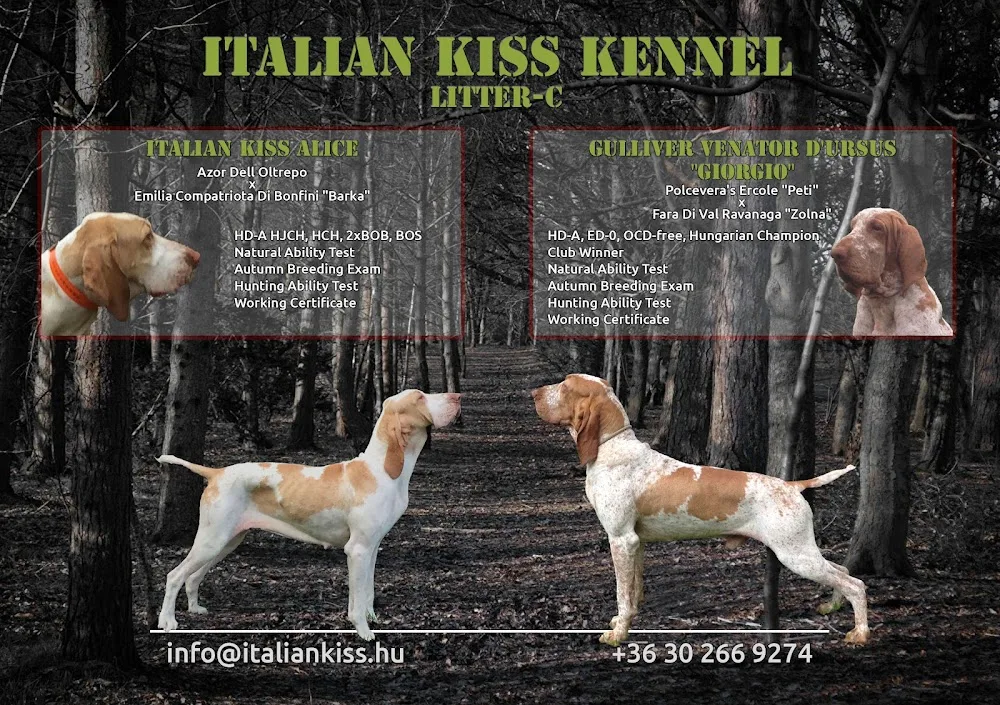 Italian Kiss Kennel - Nyíregyháza pet otel