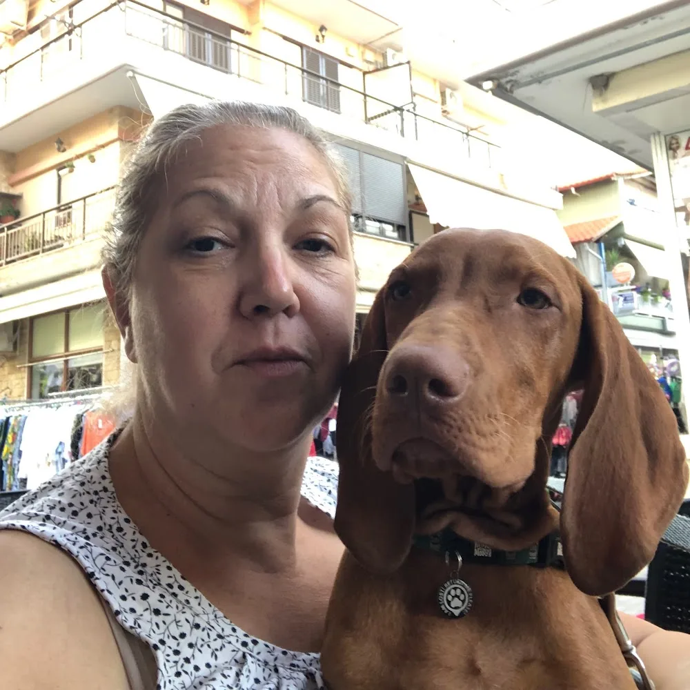 Nyíri Pajkos Magyar Vizsla Kennel - Nyíregyháza pet otel görseli 7