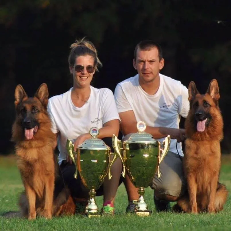Von Schnitzer Német juhász Kennel - Nyíregyháza pet otel görseli 6
