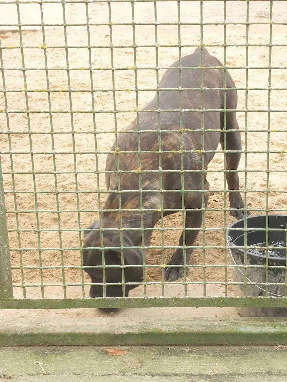 Kennel - Nymburk pet otel