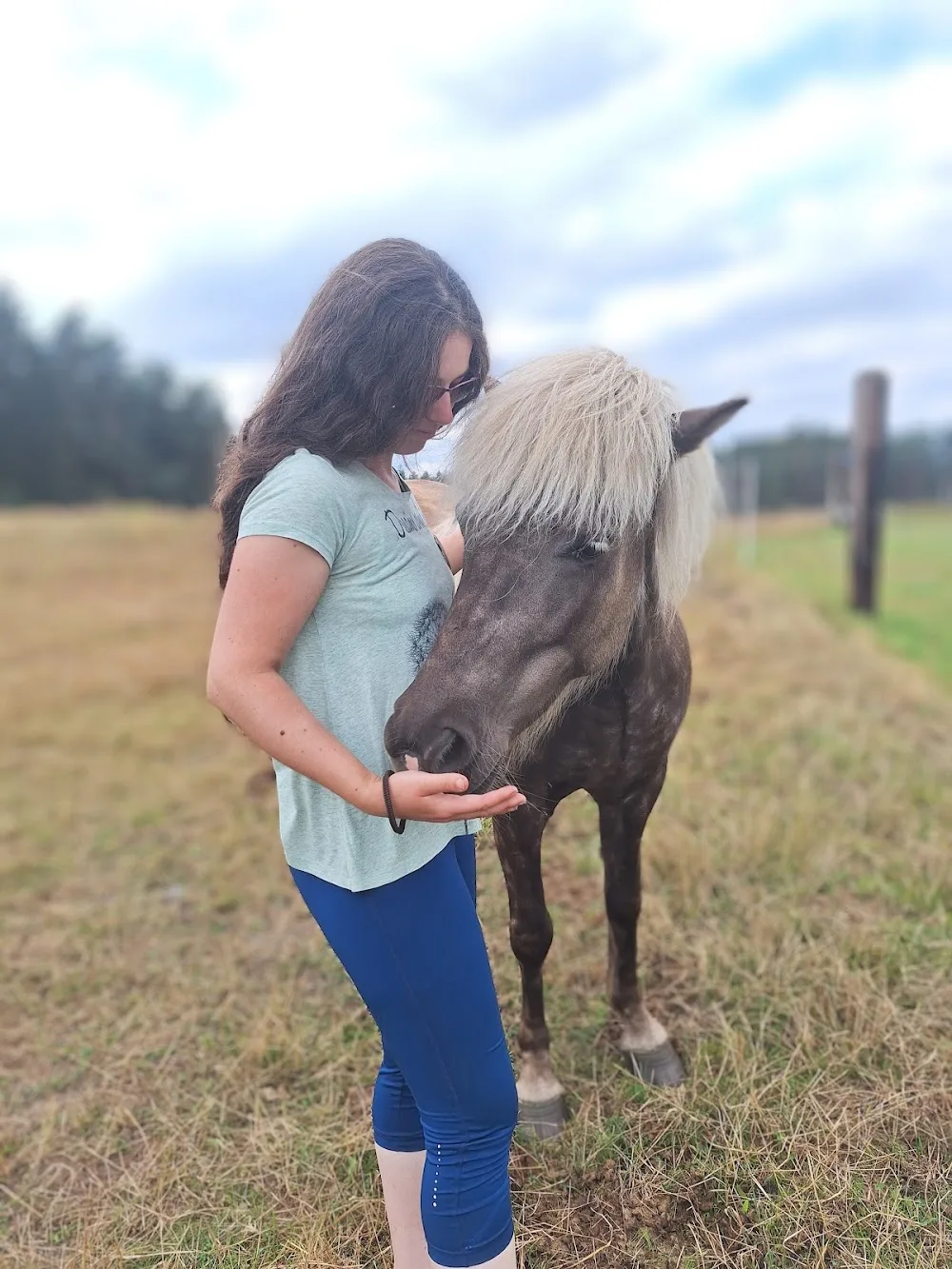 Touch for Animals - Sára Němečková, DiS. - Nymburk pet otel görseli 3