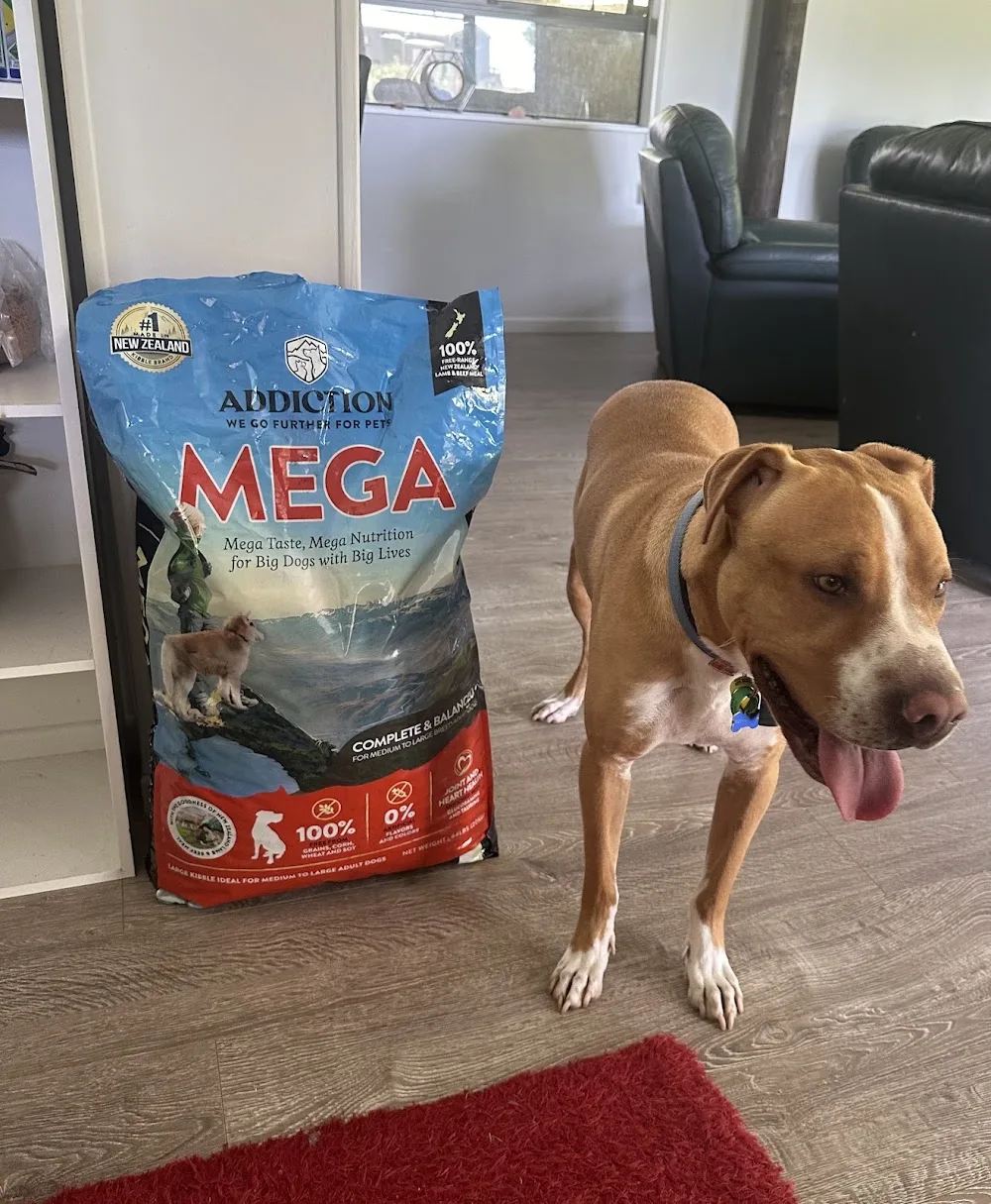 Doubtless Bay Pet Resort - Marlborough pet otel