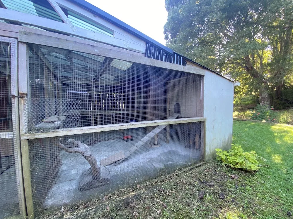 Doubtless Bay Pet Resort - Marlborough pet otel görseli 3