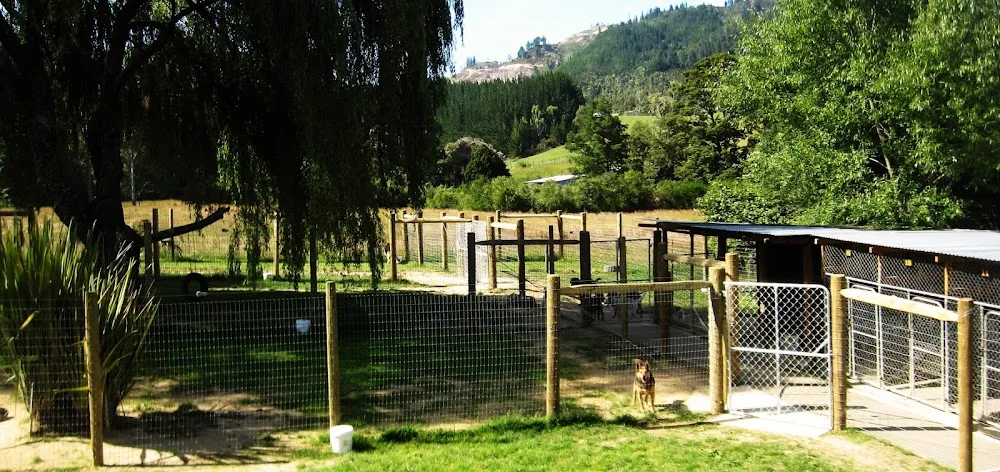 Four Foot Lodge Boarding Kennel & Cattery - Marlborough pet otel