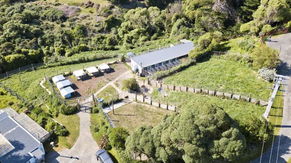Homelands Kennels & Cattery - Marlborough pet otel
