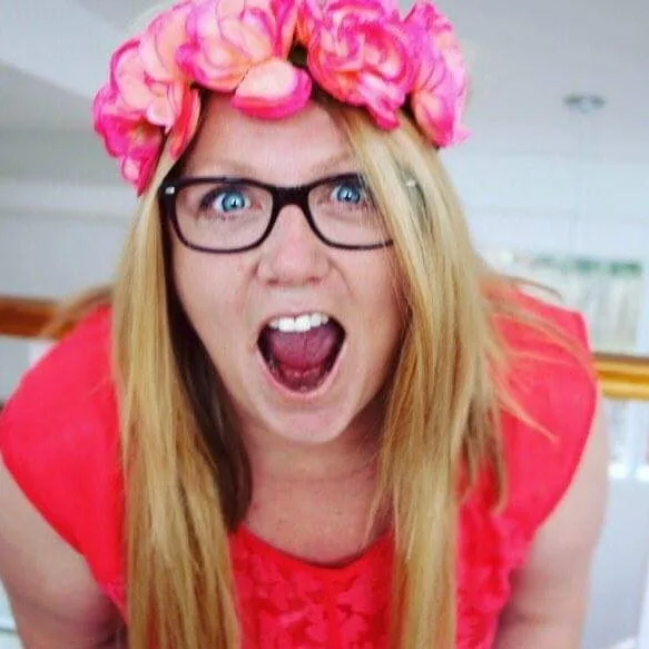 Pointsetta Boarding Kennels - Marlborough pet otel görseli 5