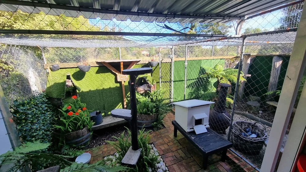 Punga Grove Cattery - Marlborough pet otel