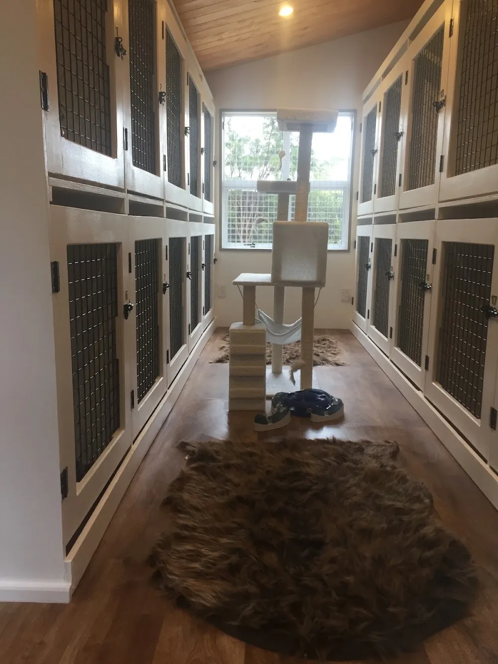 Punga Grove Cattery - Marlborough pet otel görseli 3