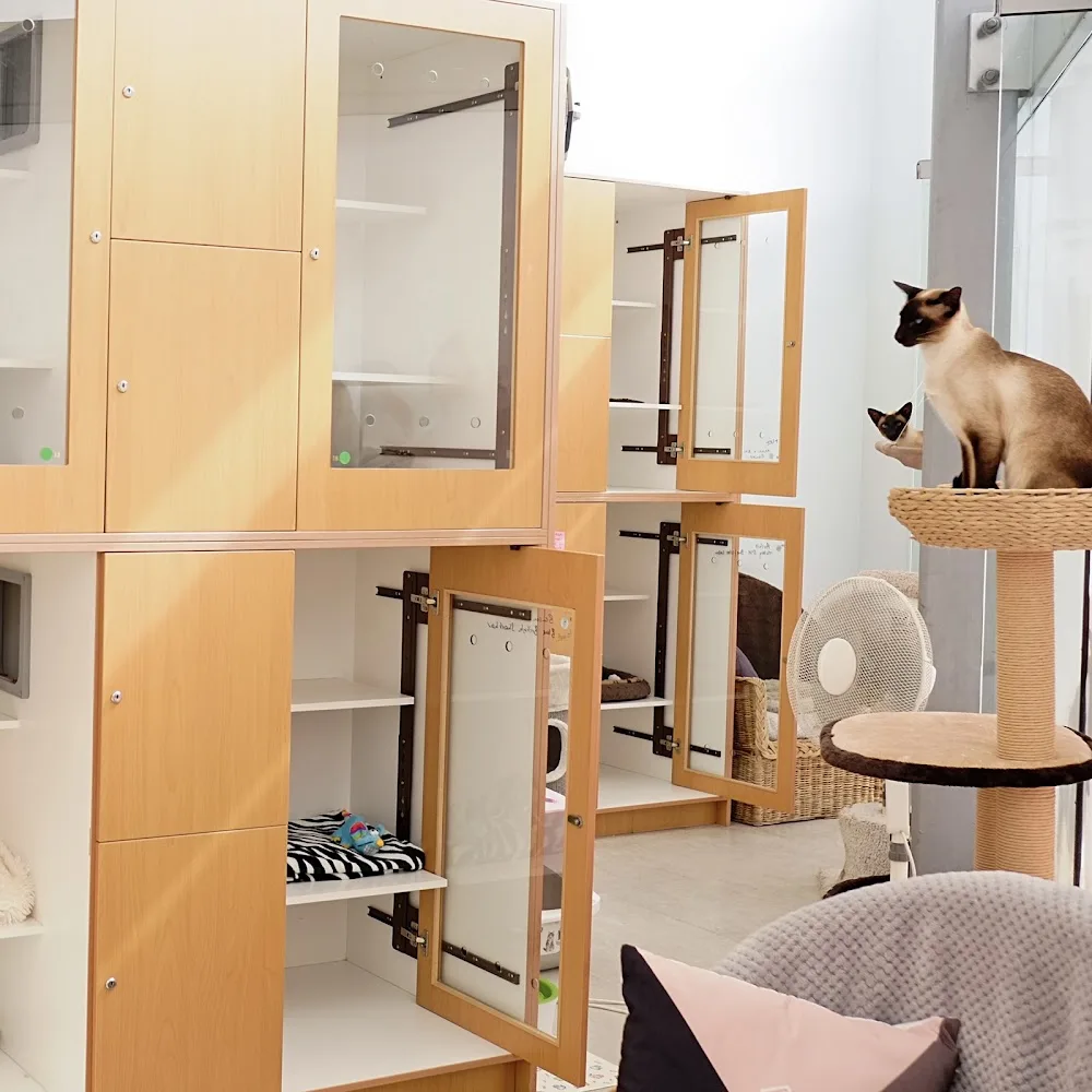The Sanctuary Boarding Cattery - Marlborough pet otel görseli 3