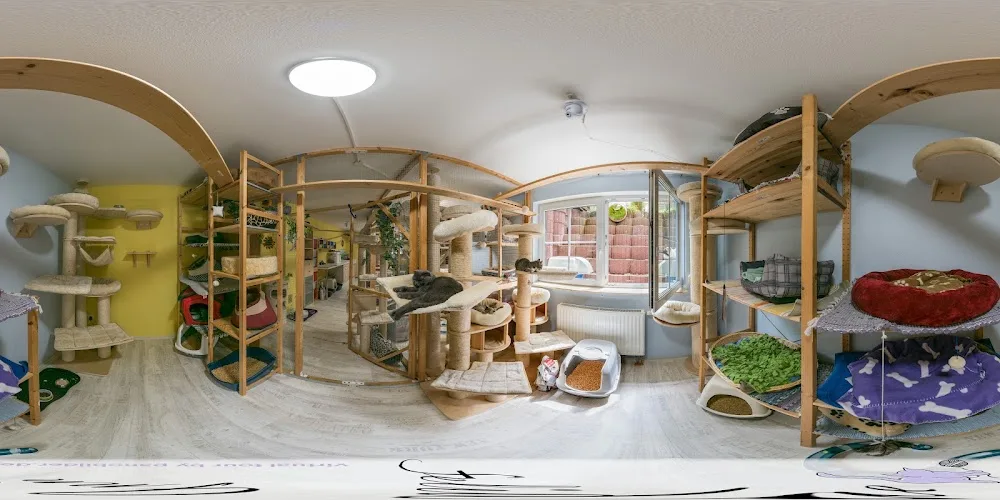 Katzenpension Felidae Inn - Oberhaching pet otel görseli 3