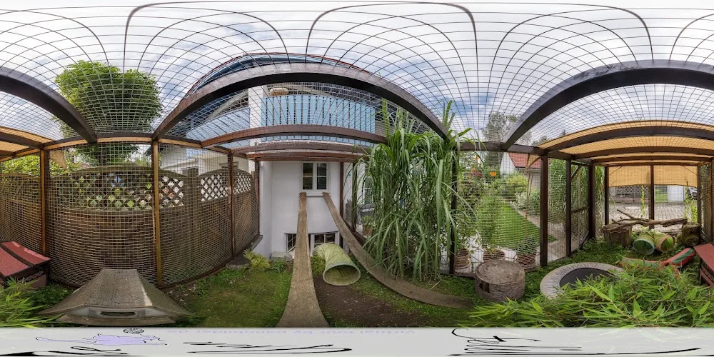 Katzenpension Felidae Inn - Oberhaching pet otel görseli 4