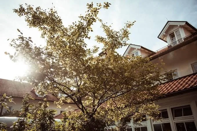 Pension Schelle Nichtraucherhaus - Oberhaching pet otel görseli 3